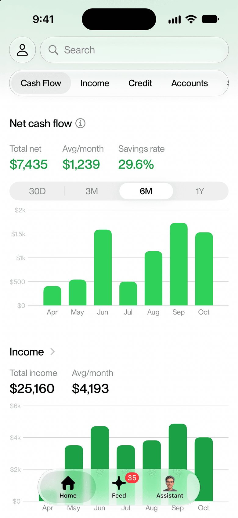 Cash flow screen